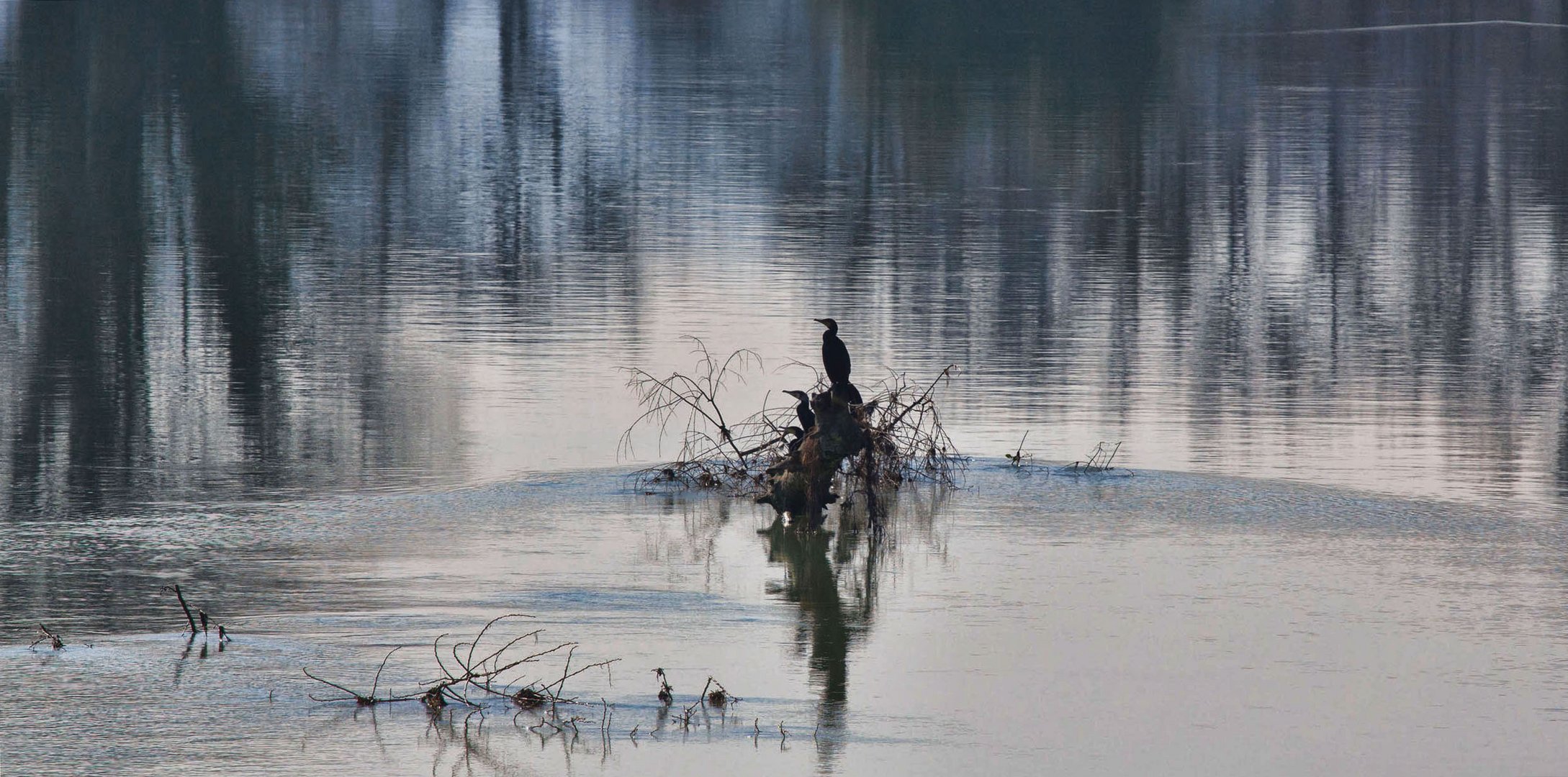 Fluss - Landschaft 2