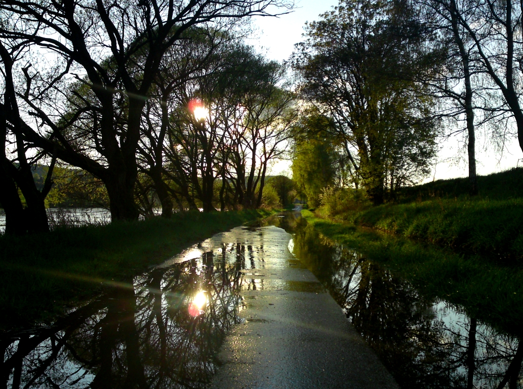 Fluss oder Straße