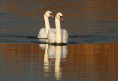 Fluss-Patrouille