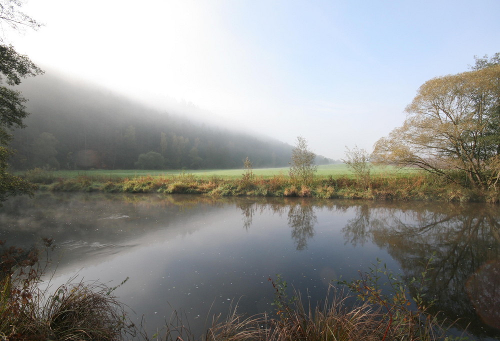 Fluss Pfreimd bei Oberpfreimd