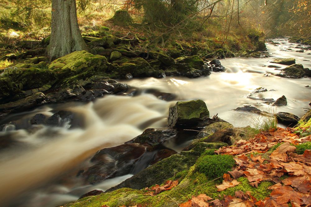 Fluß Rur Foto & Bild landschaft, bach, fluss & see, flüsse und kanäle Bilder auf