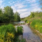 Fluss und Raps im Frühling