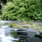 Fluss Vartry / Irland