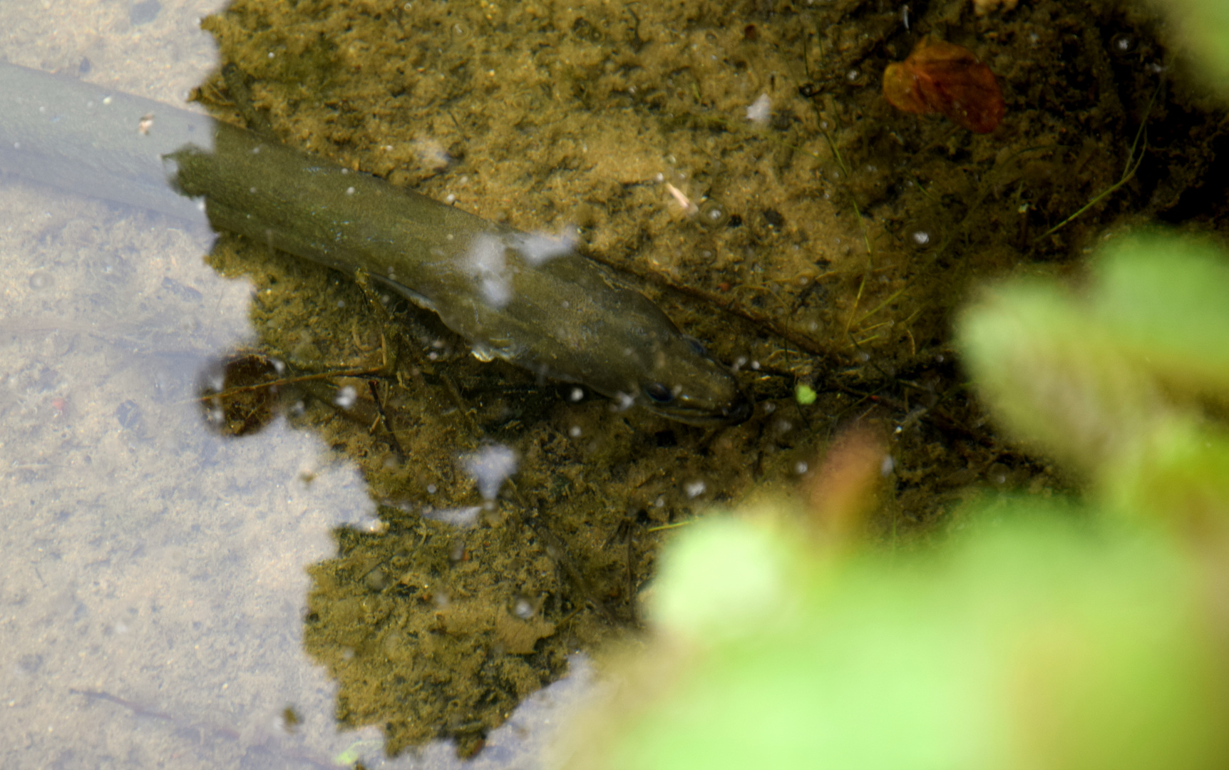 Flussaal