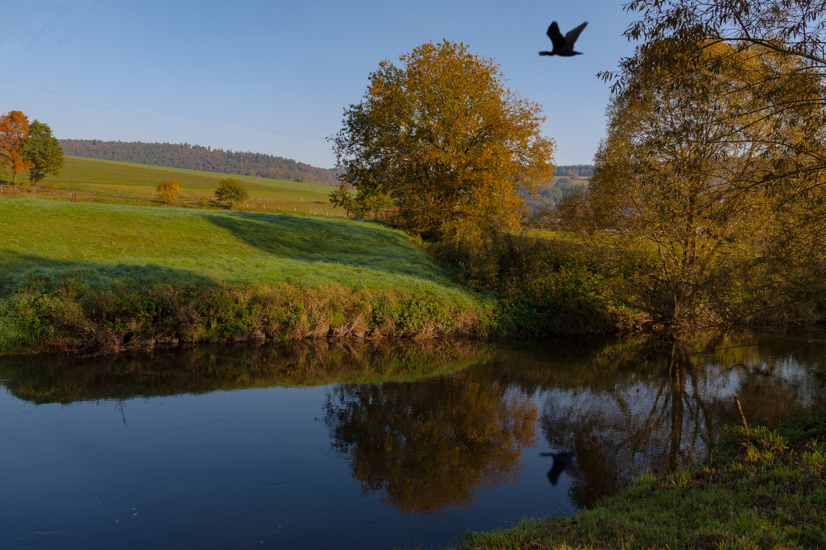 Flussaue im Herbst