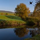 Flussaue im Herbst