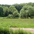 Flussaue im Striegistal