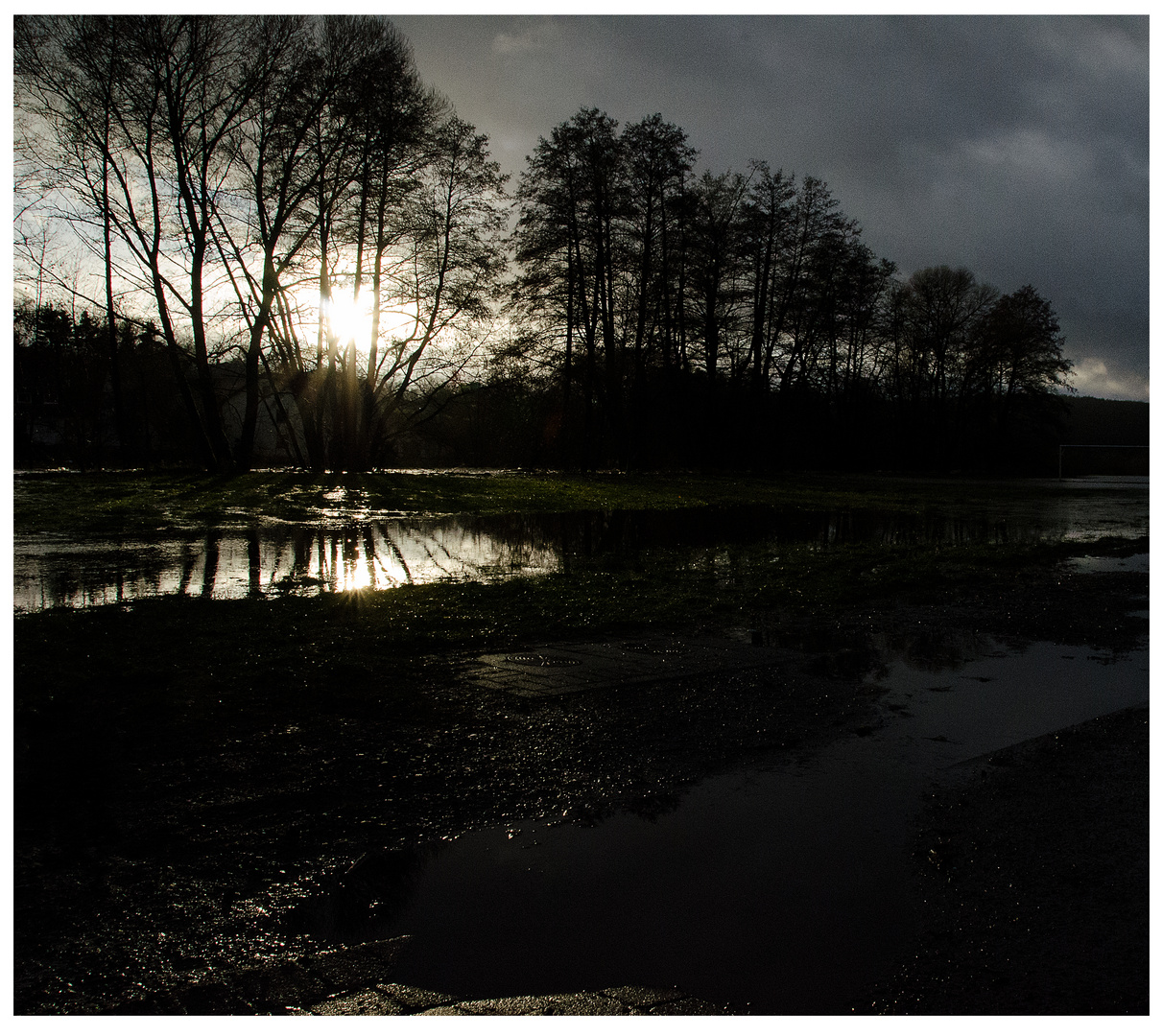 Flussaue-nach-dem-Regen