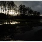 Flussaue-nach-dem-Regen