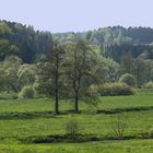 Flussauen Landschaft