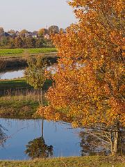 Flussauenlandschaft der mittleren Lippe bei Werne-Stockum (am Horizont)