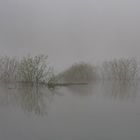 Flussauenlandschaft im Nebel