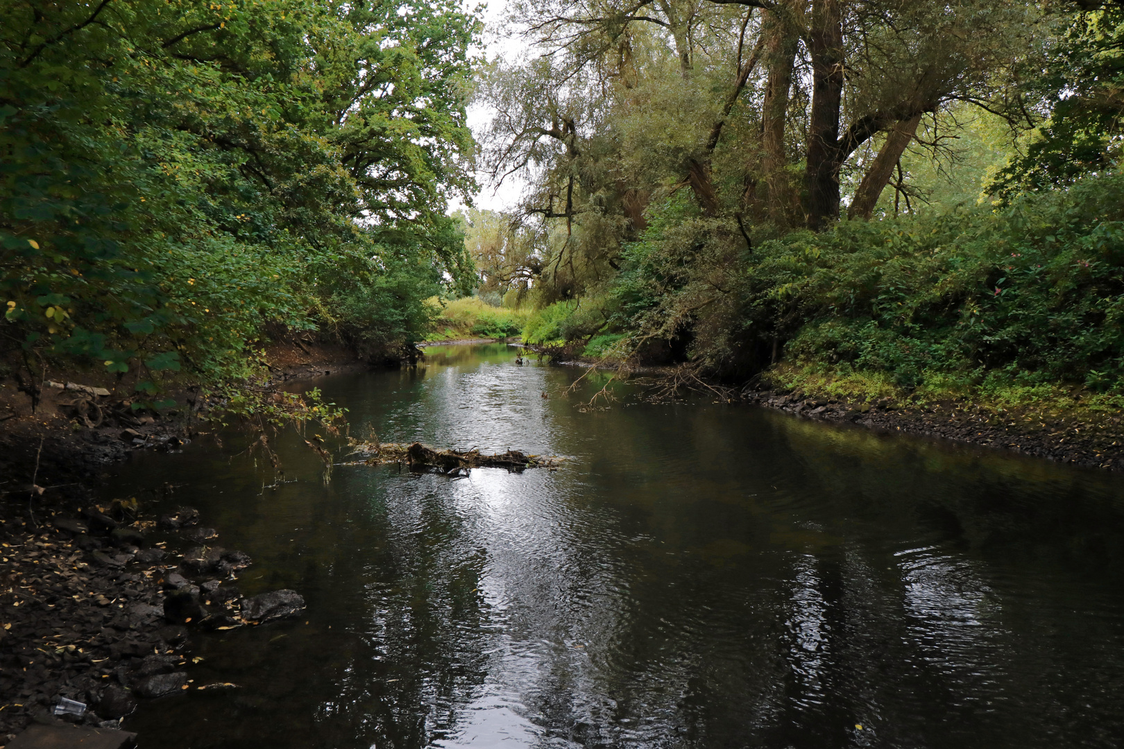 Flussaufwärts Foto & Bild | landschaften, wasser, bäume Bilder auf ...