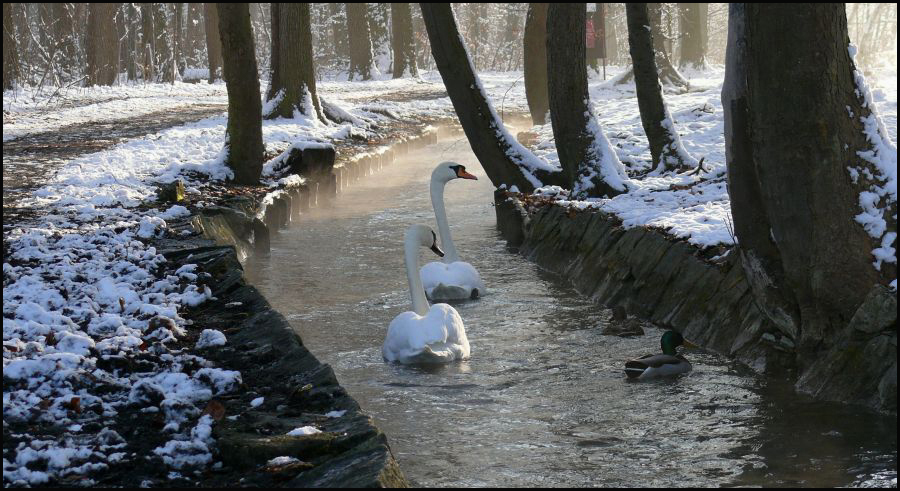 Flußaufwärts