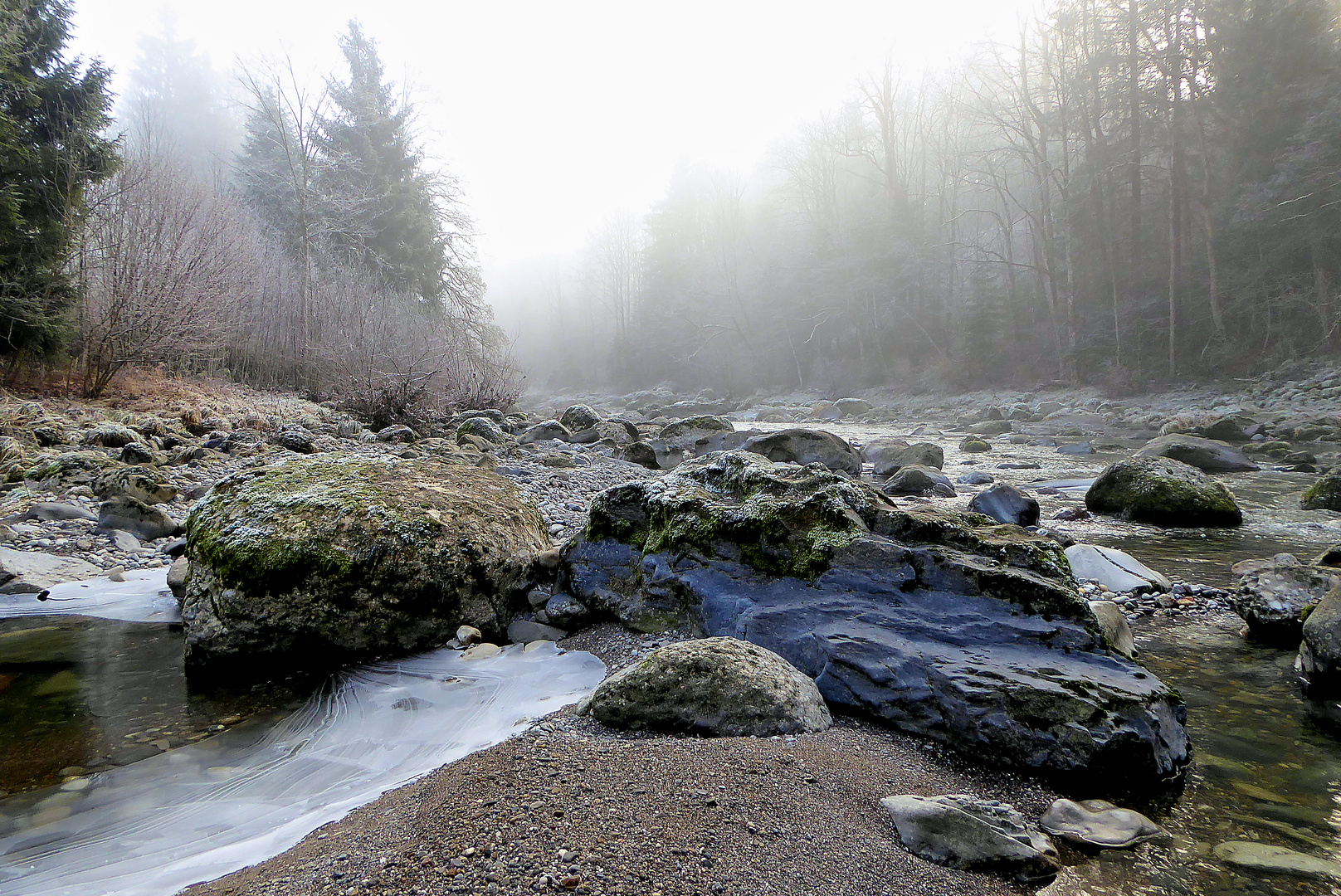 Flussbett der Sihl