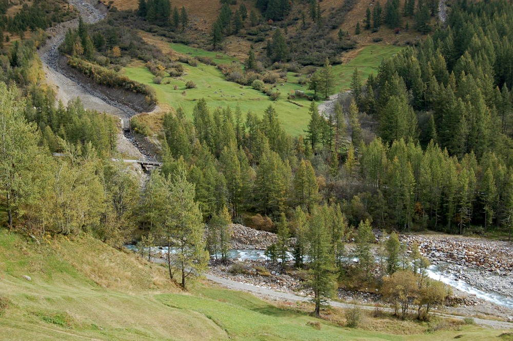 Flussbett im Lötschental