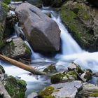 Flussbett mit Stein