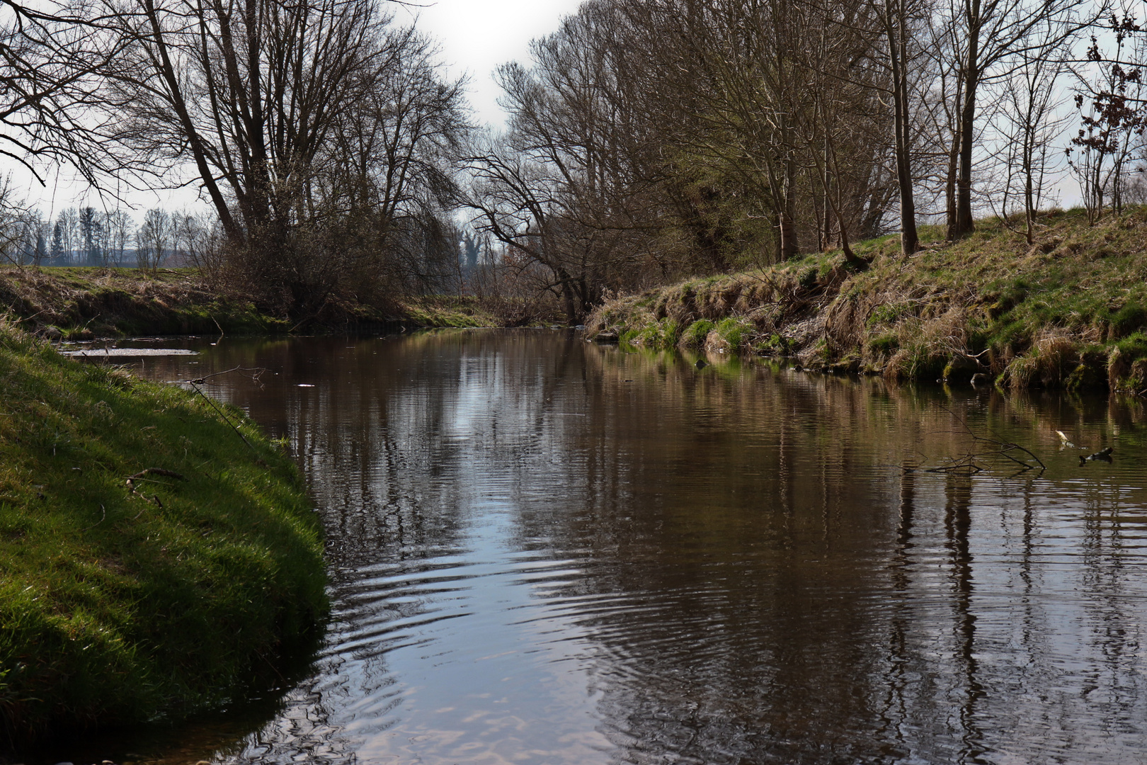 Flussbiegung an der Günz