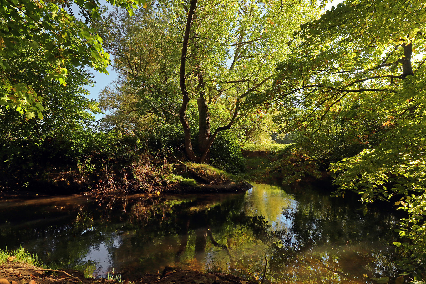 Flussbiegung im Herbstlicht