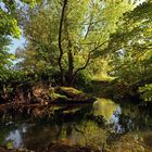 Flussbiegung im Herbstlicht