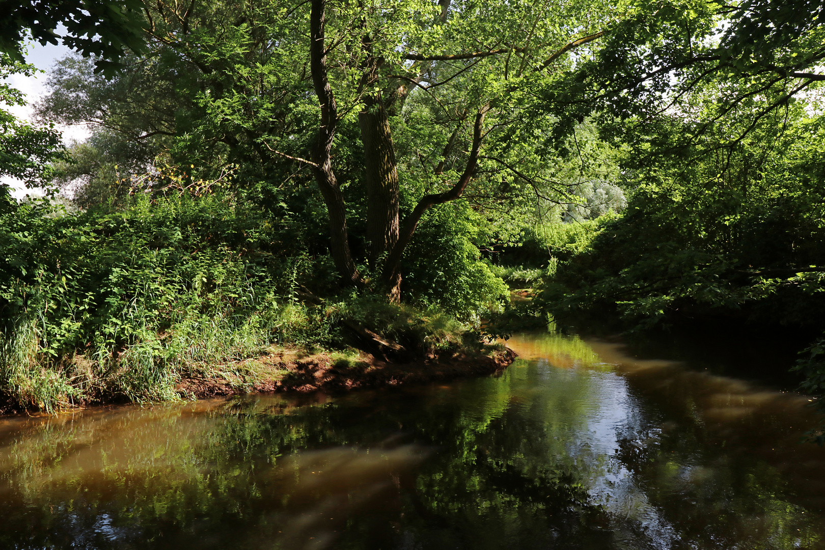 Flussbiegung im Licht