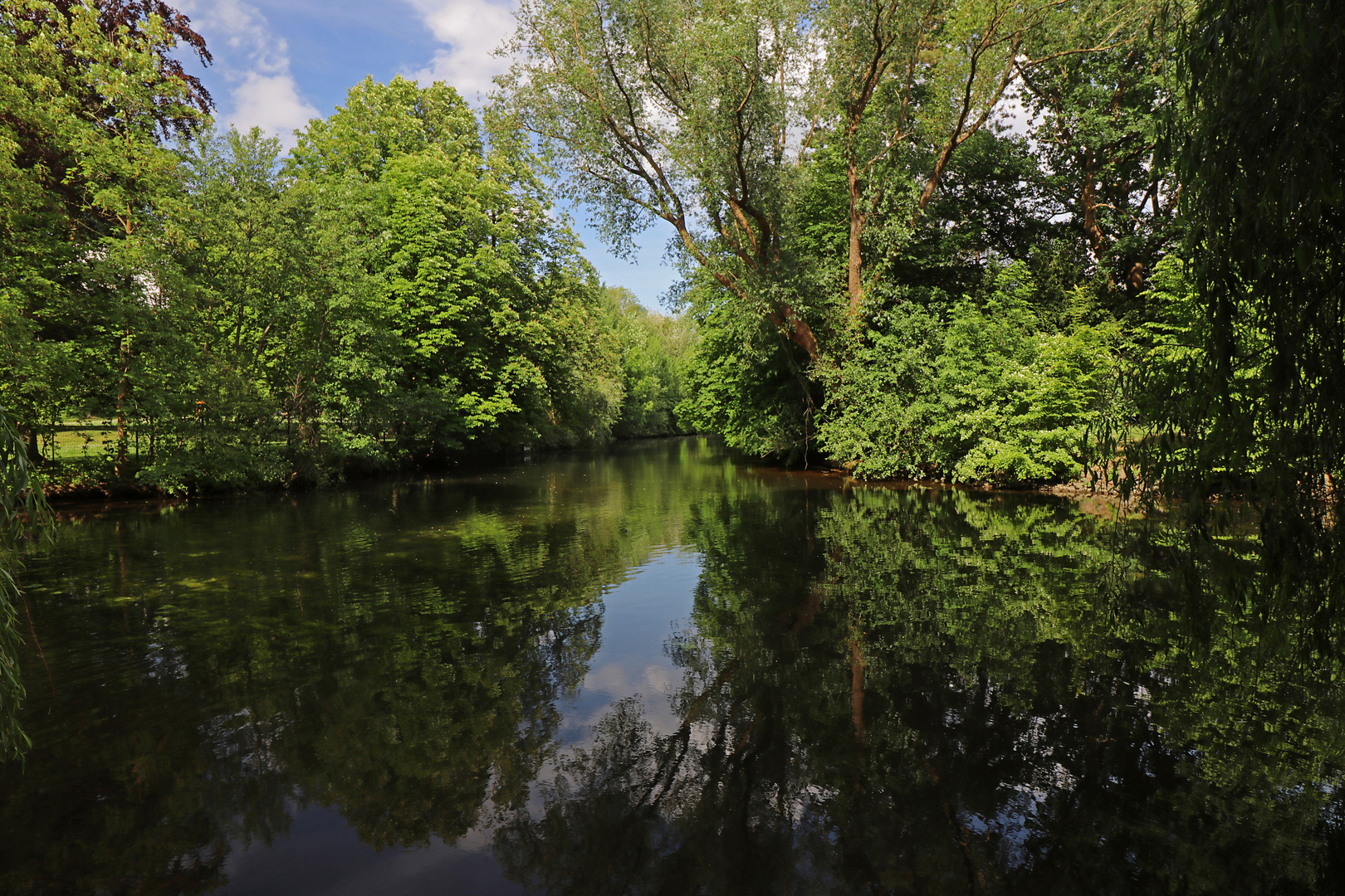 Flussbiegung im Park