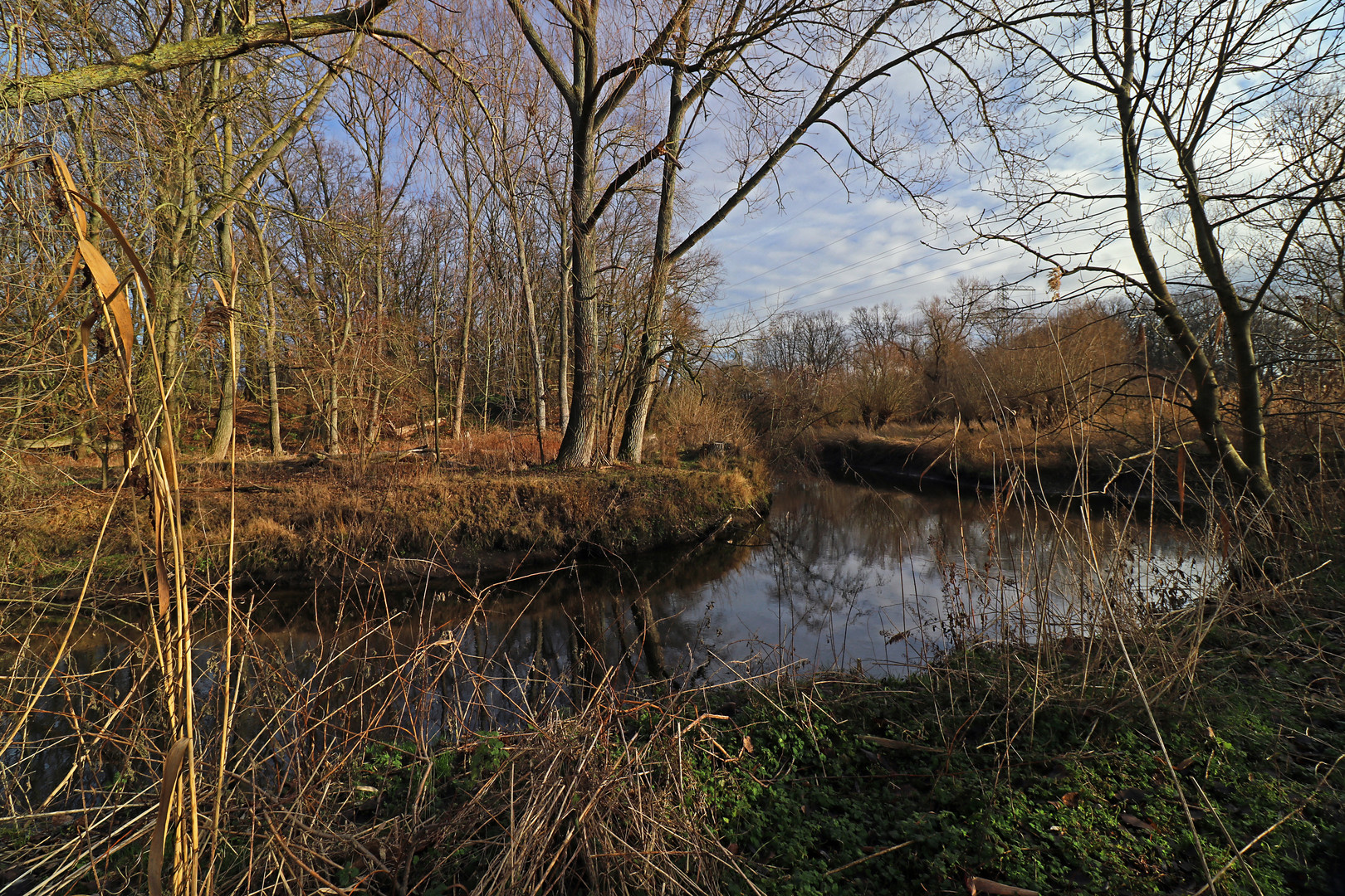 Flussbiegung im Winterlicht