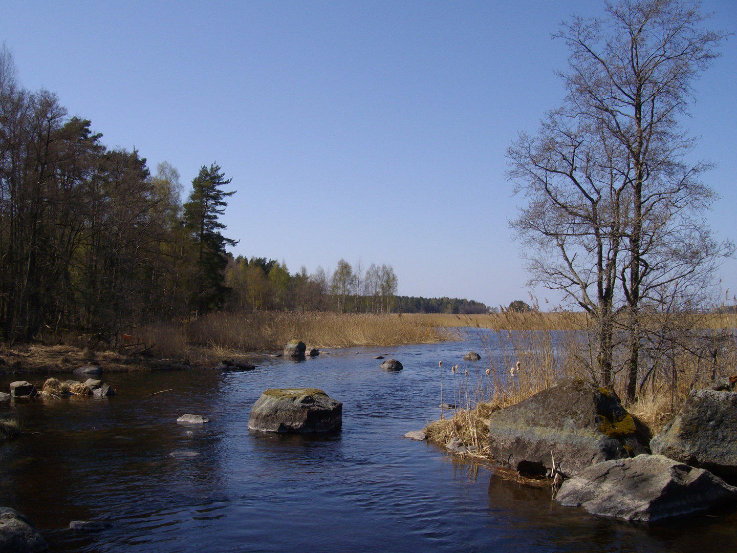 Flussdelta des Gullspångsälv