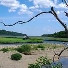 Flussdelta in Nova Scotia