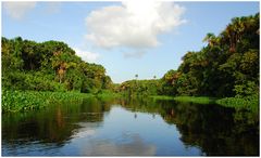 Flussfahrt im Orinoco-Delta