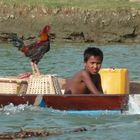 Flussfahrt Mrauk U Hahn an Board