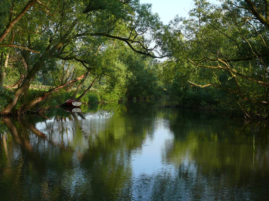 Flussgeflüster