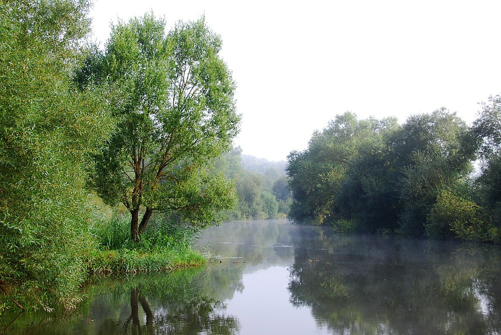 Flussidylle am Morgen
