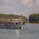 Flusskreuzfahrt auf dem Rhein