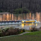 Flusskreuzfahrt auf dem Rhein