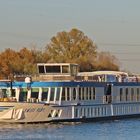 Flusskreuzfahrtschiff SWISS RUBY