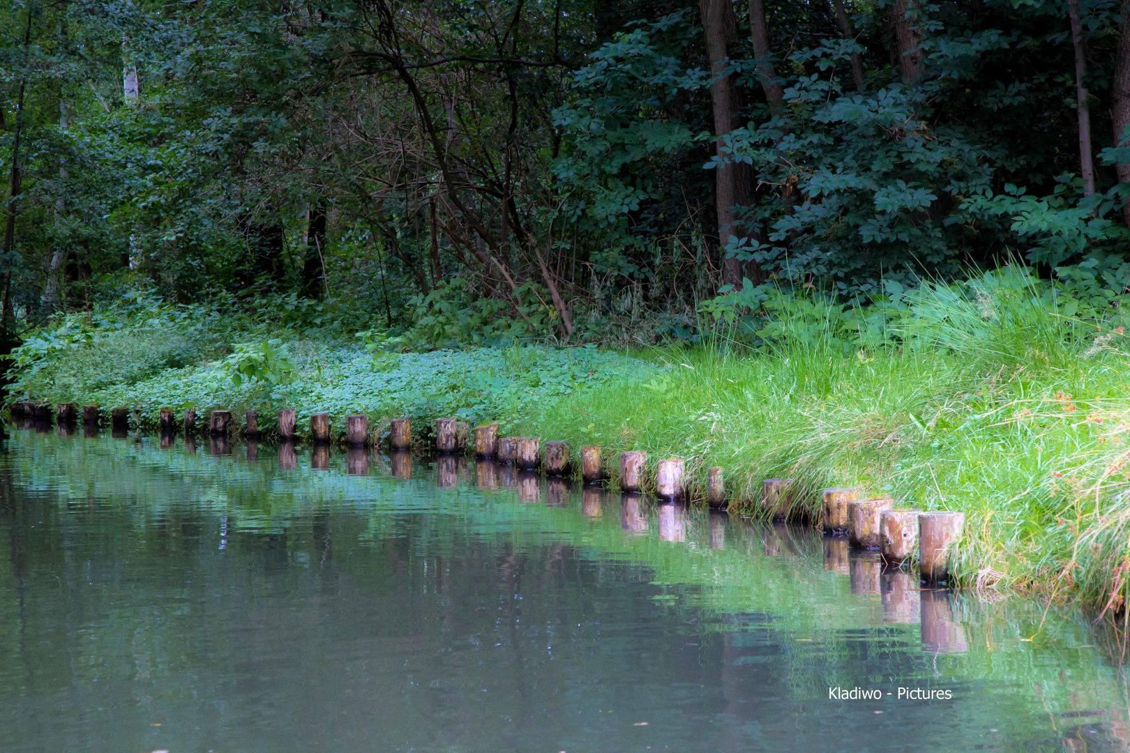 Flusslandschaft 05