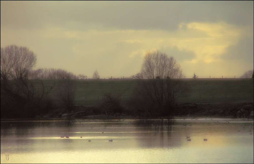 Flusslandschaft 06