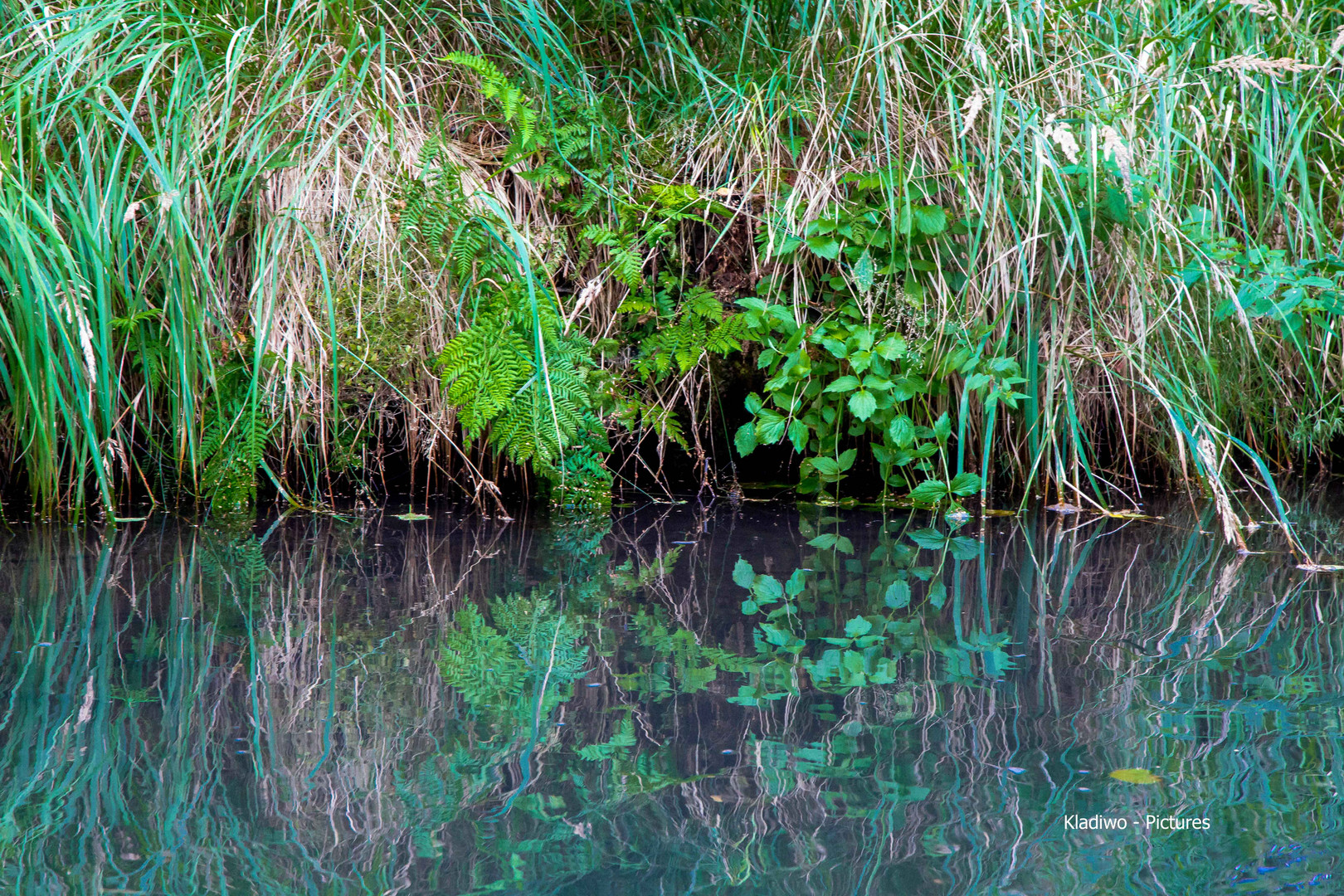 Flusslandschaft 08