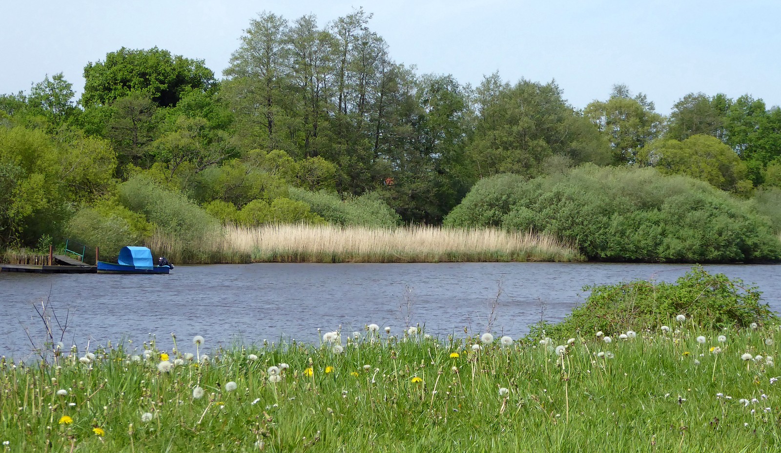 Flusslandschaft