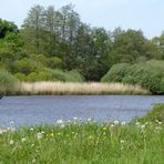 Flusslandschaft