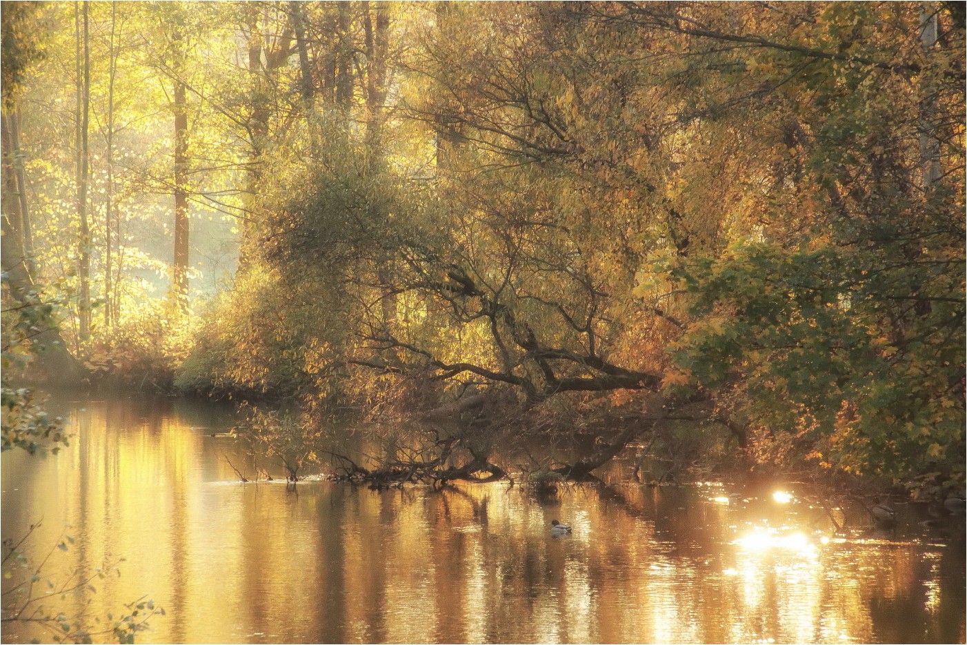 Flußlandschaft 2