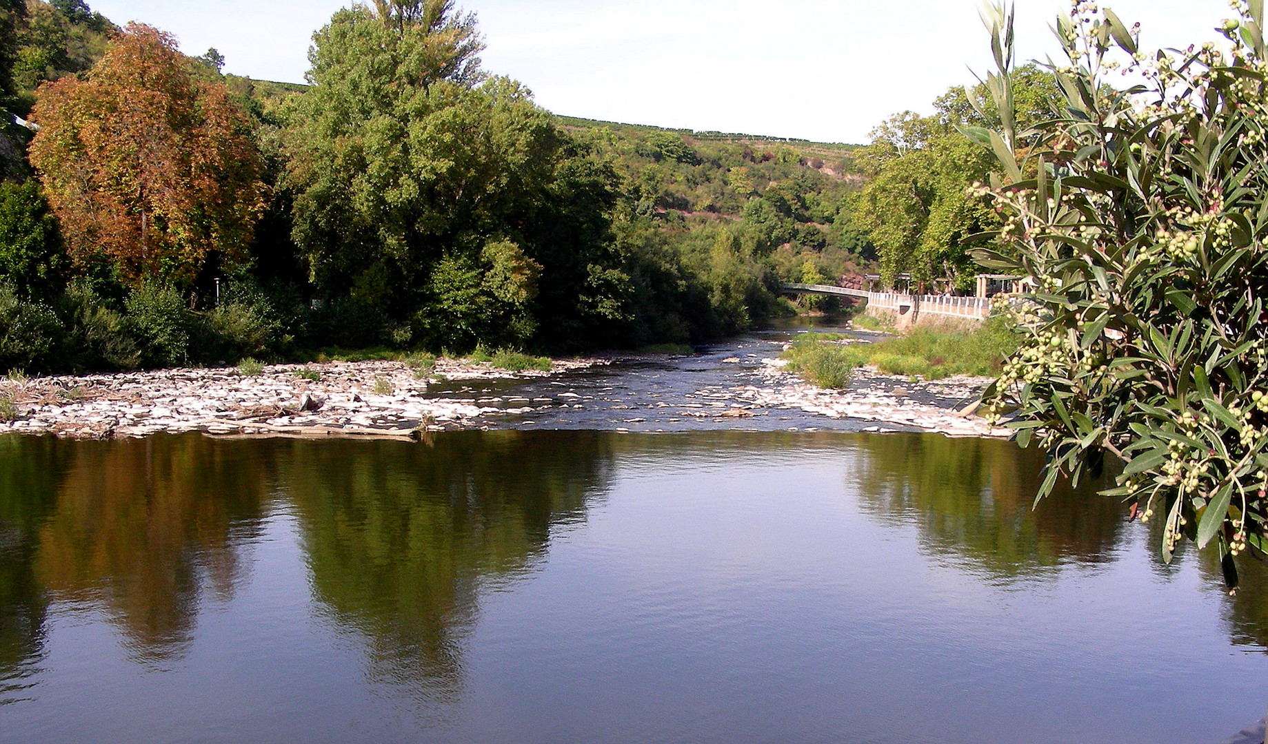 Flusslandschaft (2)