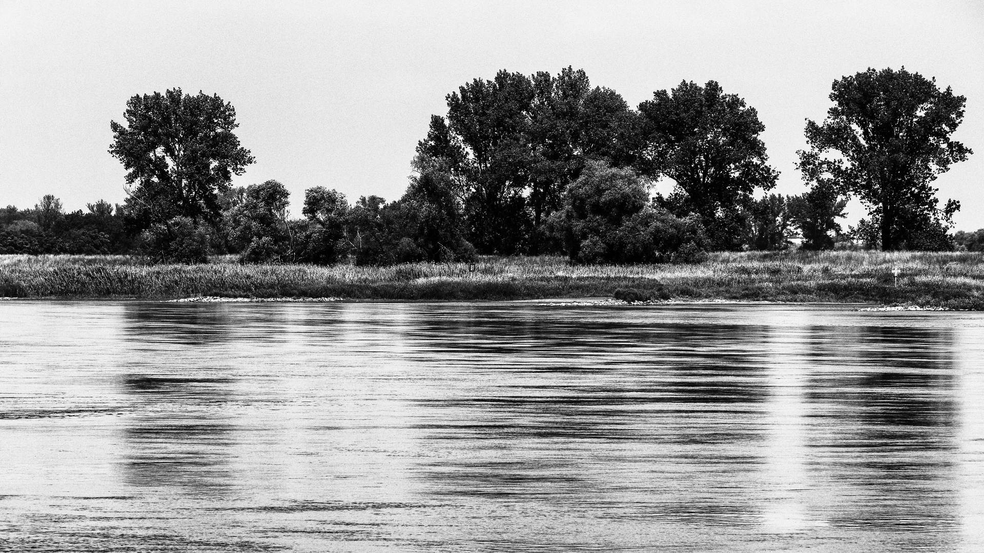 Flusslandschaft