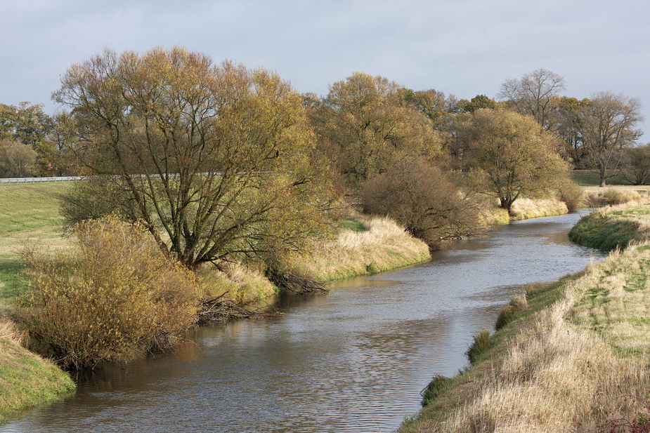 Flusslandschaft