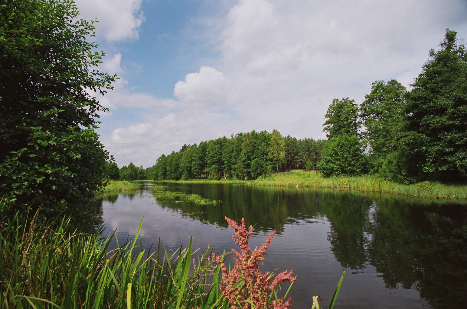 Flusslandschaft