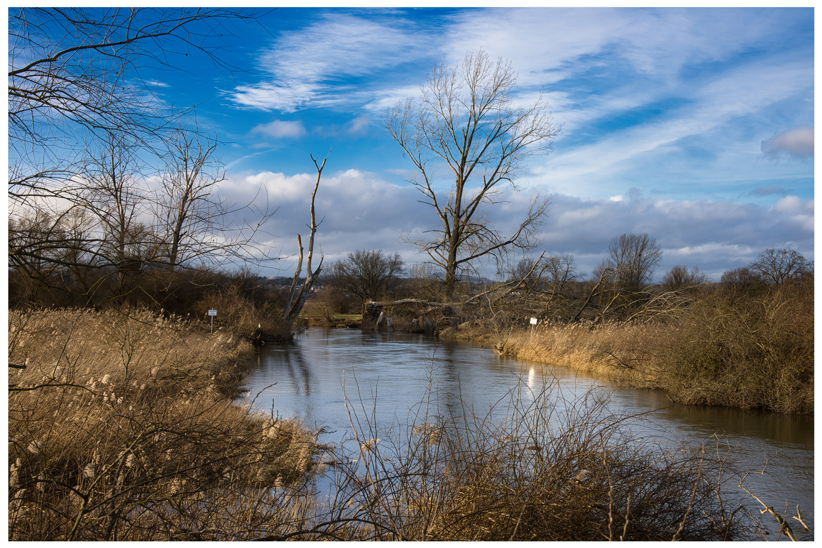 Flusslandschaft