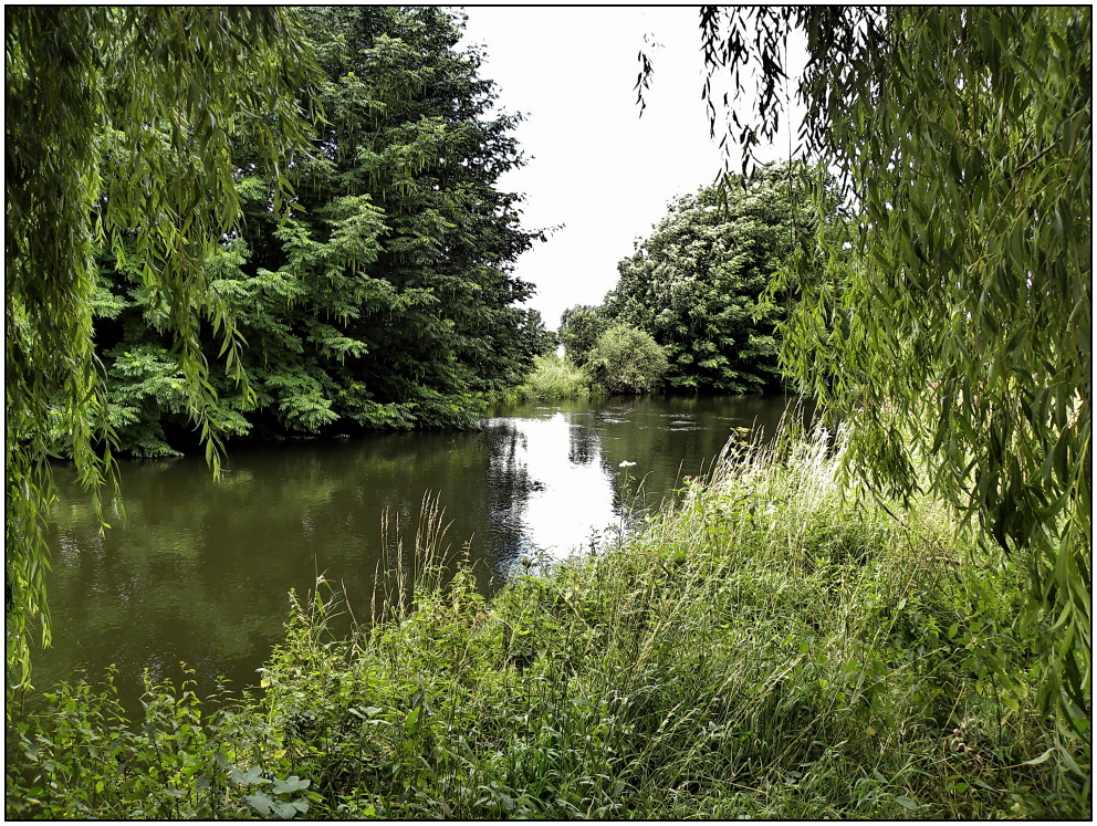 Flusslandschaft