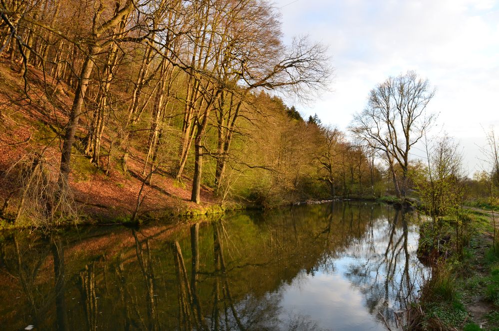 Flusslandschaft