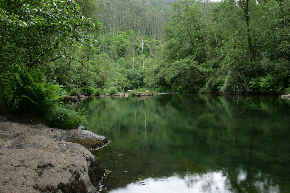 Flußlandschaft